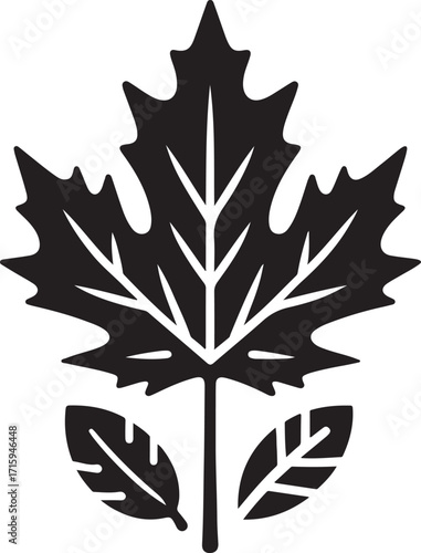 silhouette black Maple leaf, oak leaf, fall colors, thanksgiving season, vector illustration