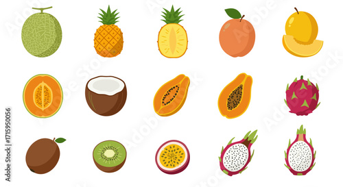 Colorful tropical fruits flat design collection on white background