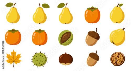 Variety of autumn fruits and nuts on a white background