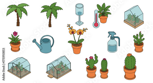 Isometric indoor gardening collection with cacti, palms, and tools