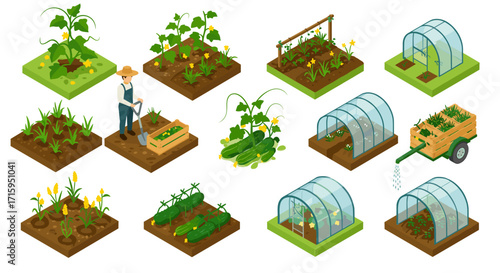 Isometric gardening set: greenhouse, vegetables, and farming elements