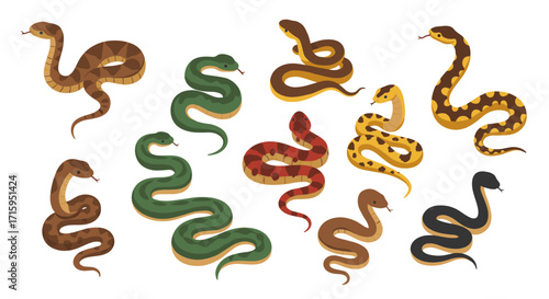 Colorful snake collection with various patterns and shapes on white background