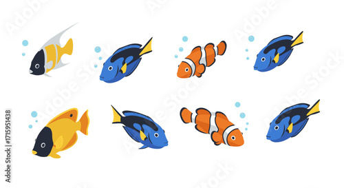 Colorful tropical fish set with clownfish and blue tang in flat design