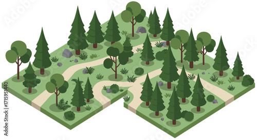 Isometric forest landscape with winding path and evergreen trees