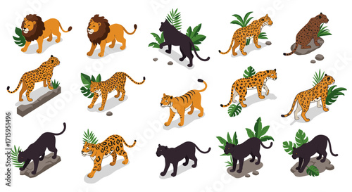 Wild cats collection: isometric design of lions, tigers, leopards, and panthers with foliage