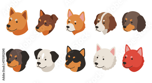 Colorful dog breed head icons in flat style