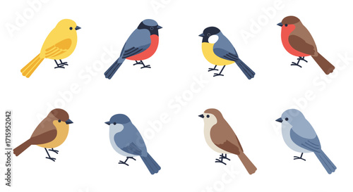 Colorful flat style birds collection: diverse bird illustrations for nature and wildlife themes