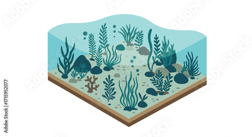 Isometric underwater scene with seaweed and rocks in a clear aquatic habitat