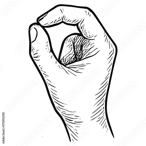 Okay Hand Gesture