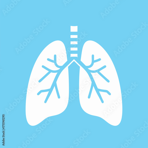 Anatomy illustration of the human lungs, depicting the trachea and branching airways in a simplified, medical style.