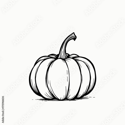 Pumpkin illustration in black and white line art style  