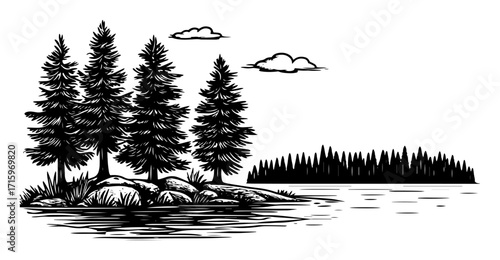 pine tree island on lake hand drawn