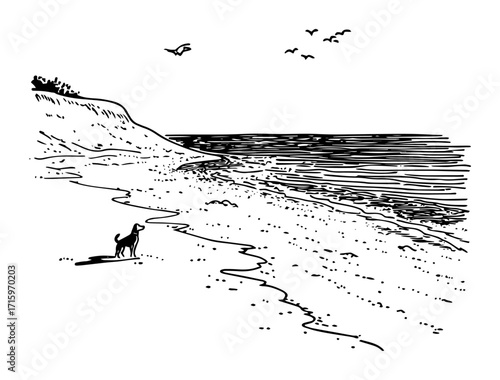 dog walking on quiet beach illustration