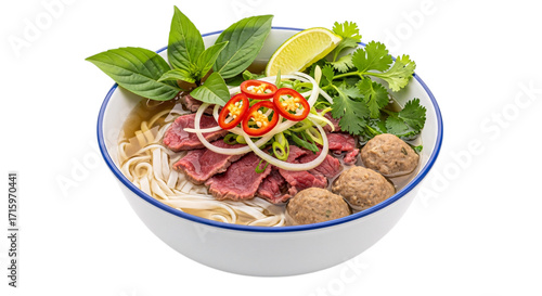 Vietnamese pho soup with beef isolated on transparent background