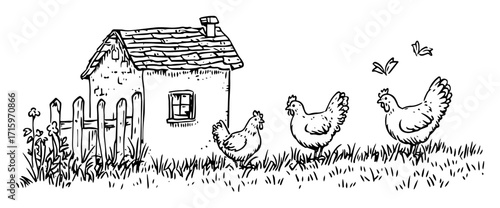 cozy countryside house with chickens illustration
