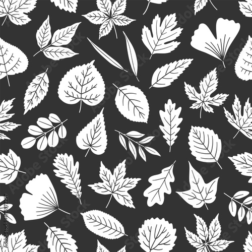 Seamless pattern with white silhouette leaves on black background - leaf of maple, oak, linden, aspen, ginkgo, and others. Print for textile, package, and wrapping paper. Vector illustration