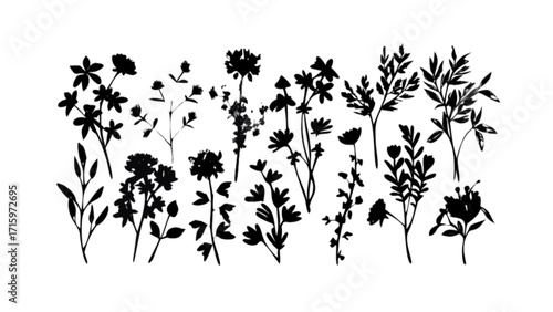 Assortment of black silhouette floral elements with various shapes and sizes on a white background