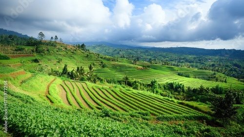 Lush Green Rice Terraces Under Dramatic Sky in Rural Landscape
