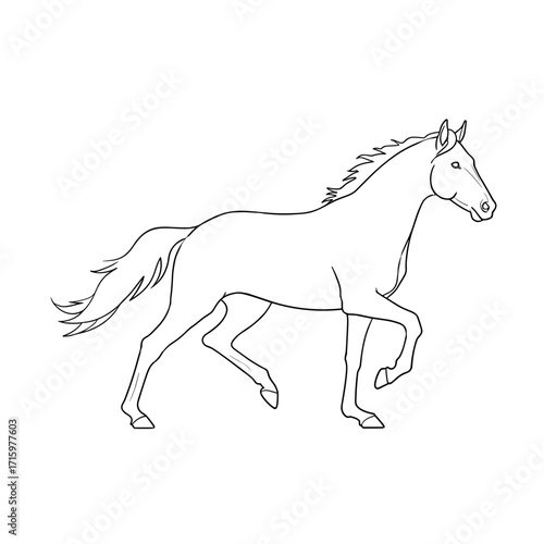 Running horse in linear vector illustration style  