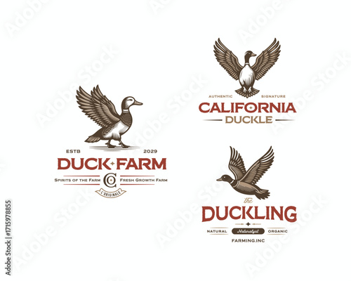 Vintage flying duck farm duck animal logo livestock logo template