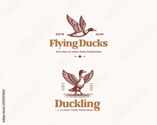 Vintage flying duck farm duck animal logo livestock logo template