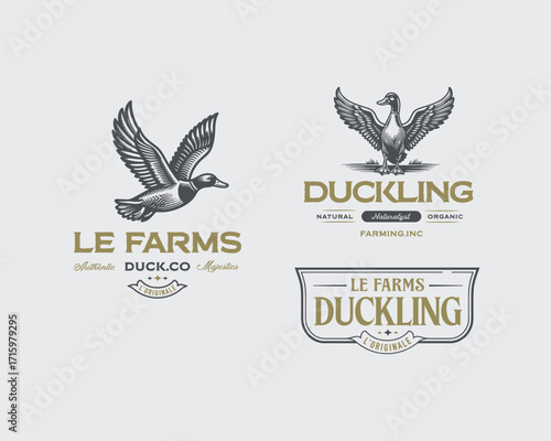 Vintage flying duck farm duck animal logo livestock logo template