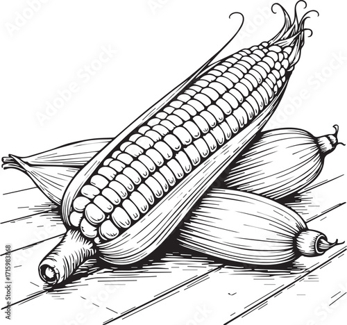Golden Grain Trio: A close-up monochrome rendering unveils three ripe, husked corn on the cob, arranged atop a rustic wooden surface, celebrating nature's harvest bounty.