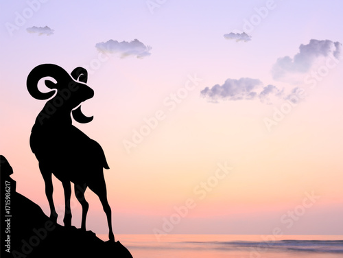 Bighorn at sunset