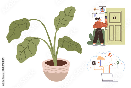 Potted plant, woman interacting with smart door lock system, and cloud network diagram linked to a laptop. Ideal for technology, security, nature, IoT, sustainability, innovation work-life balance