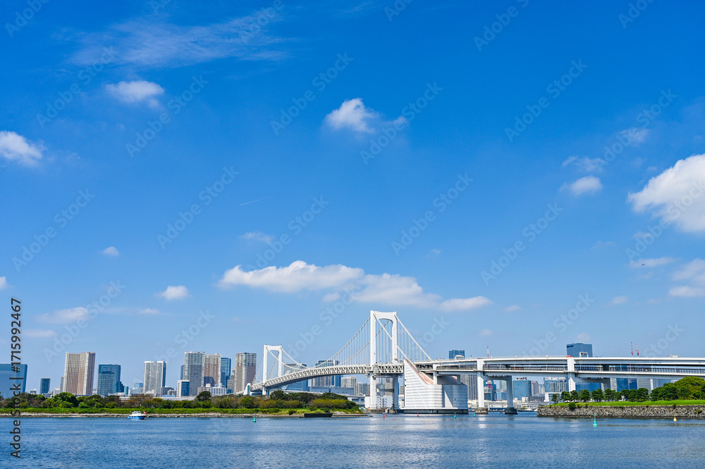 Obraz premium 日本東京お台場からの都市風景