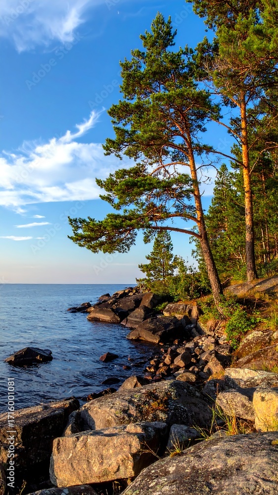 Fototapeta premium Lakeside pines at sunset
