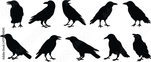 Crow silhouettes, raven bird icons, black bird illustration, flying and standing poses, wildlife vector design, spooky animal art, gothic style, nature