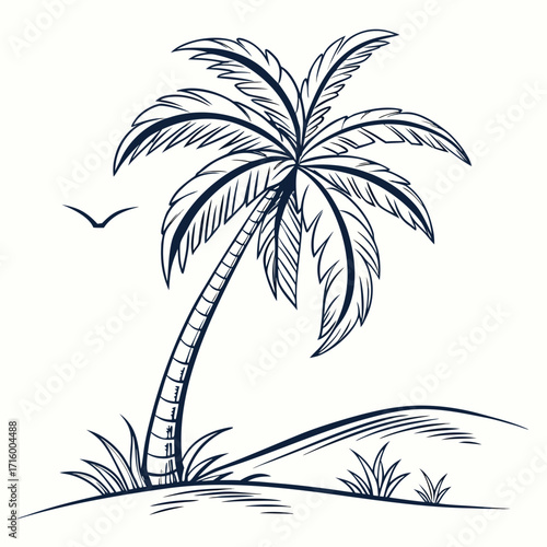 Minimalist line art drawing of a single palm tree on a sandy dune with a bird flying in the sky