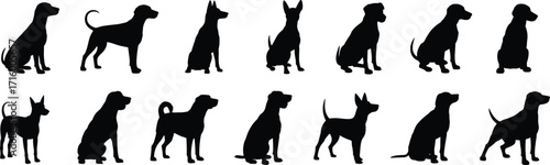Dog silhouettes, pet animal shapes, canine breeds, sitting and standing dogs, black outline illustration, domestic pets, vector design, isolated icons