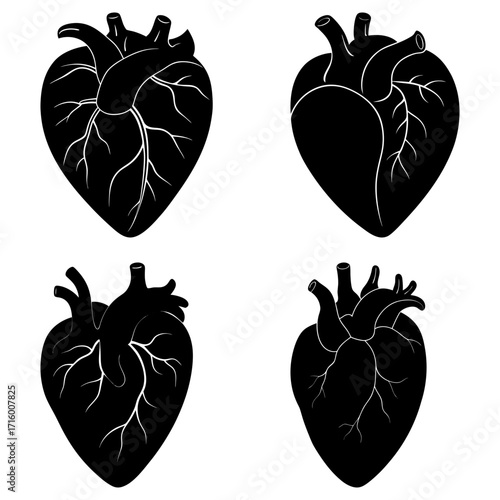 A set of four anatomical heart illustrations in black and white with varying levels of detail shown here