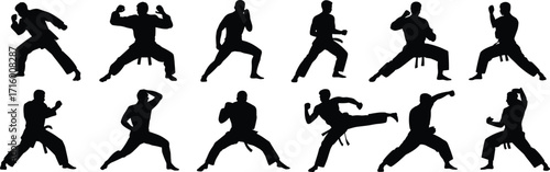 Martial arts silhouettes, karate poses, taekwondo stances, kung fu kicks, self defense training, martial artist practice, combat moves, fitness discipline, sports action, traditional uniforms