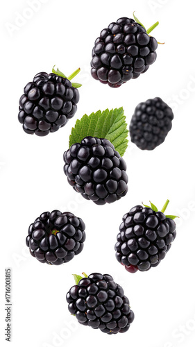 Fresh blackberries with green leaves isolated on white background for healthy eating and nutrition