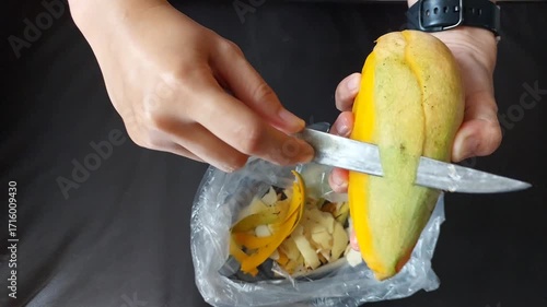 Hands Peeling Fresh Mango with Knife for Tropical Fruit Preparation