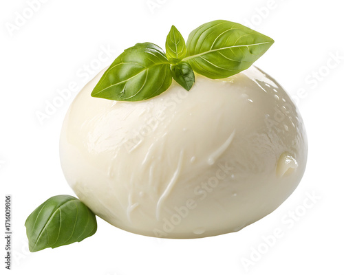 Fresh mozzarella cheese with basil leaves isolated on white background for culinary presentation
