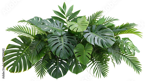 Tropical green monstera foliage wall art with lush jungle leaves for home and garden decor ideas