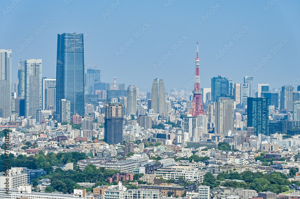 Obraz premium 日本の首都東京の都市風景