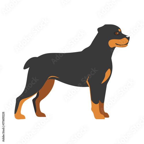 Stylized illustration of a Rottweiler dog standing proudly, strong and loyal breed
