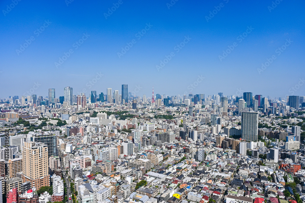 Fototapeta premium 日本の首都東京の都市風景