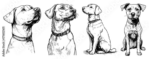 Dog Portraits and Sitting Puppy Doodle Set black shape vector laser cutting engraving monochrome print