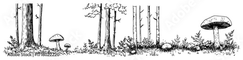 Hand Drawn Forest Landscape with Trees and Mushrooms Monochrome Vector Banner