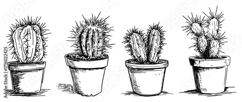 Hand Drawn Potted Cactus Vector Set