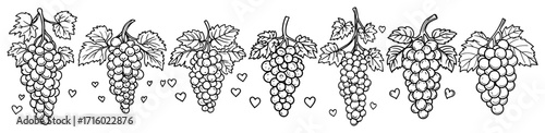 Grape Vine Bunches Border and Seamless Divider Set black shape vector laser cutting engraving monochrome print