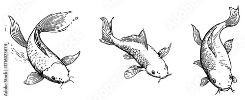 Koi Carp Swimming Ornamental Fish Set black shape vector laser cutting engraving monochrome print