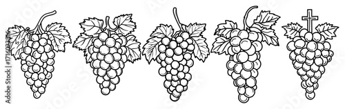 Grape Bunches with a Christian Cross an Outline Border