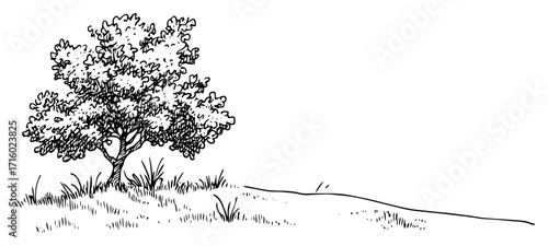 Hand Drawn Sketch of a Solitary Tree on a Grassy Hill